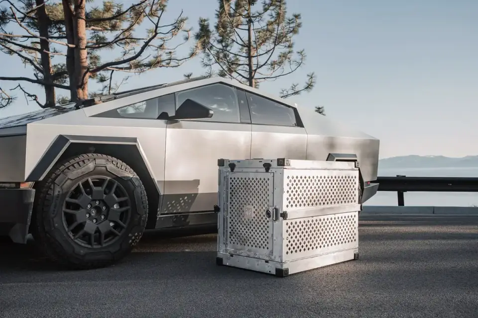 A hard-sided crate secured with tie-down straps in the back of a car
