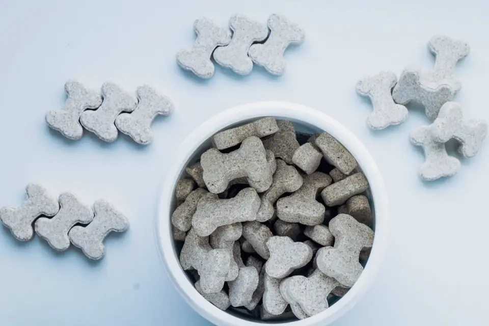 A measuring scoop of supplement powder being added to a bowl of dog kibble