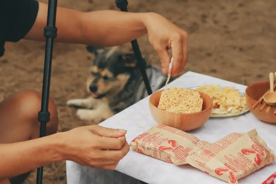 A person portioning dog food into a travel container beside an open car door