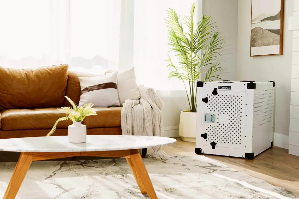 A puppy crate with the door open sitting in a living room corner