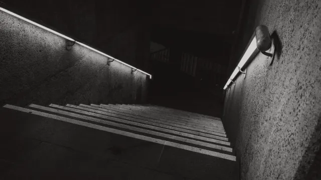 A senior dog pausing at the bottom of a staircase in dim evening light