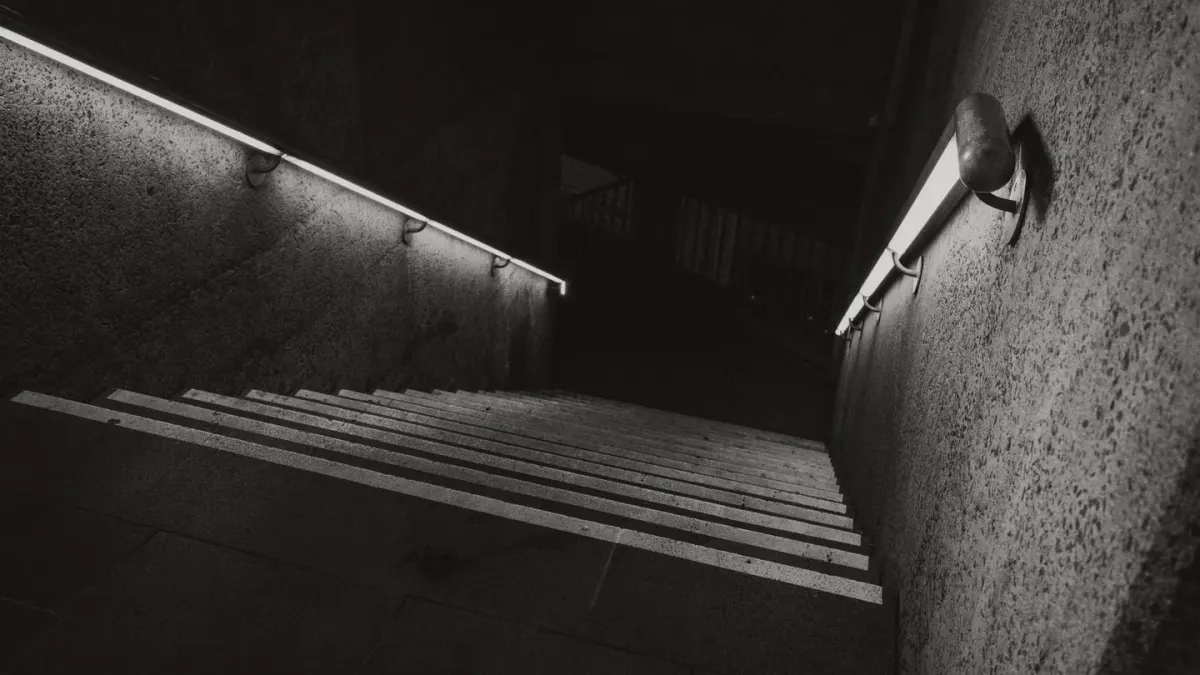A senior dog pausing at the bottom of a staircase in dim evening light