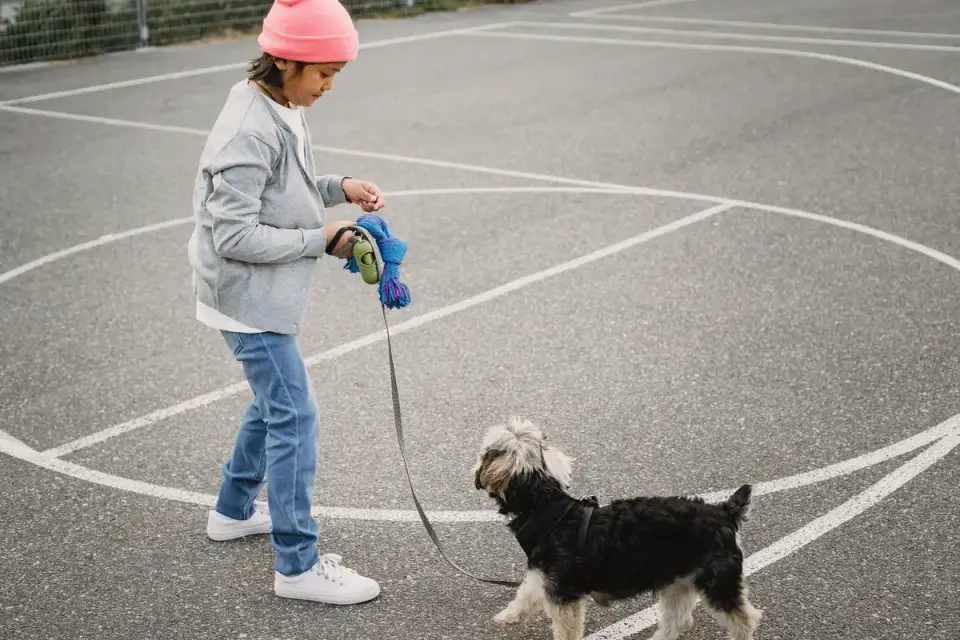 A trainer coaching one owner and dog through a leash exercise