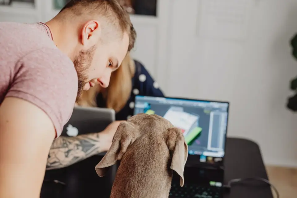 A veterinarian discussing supplement options with a dog owner