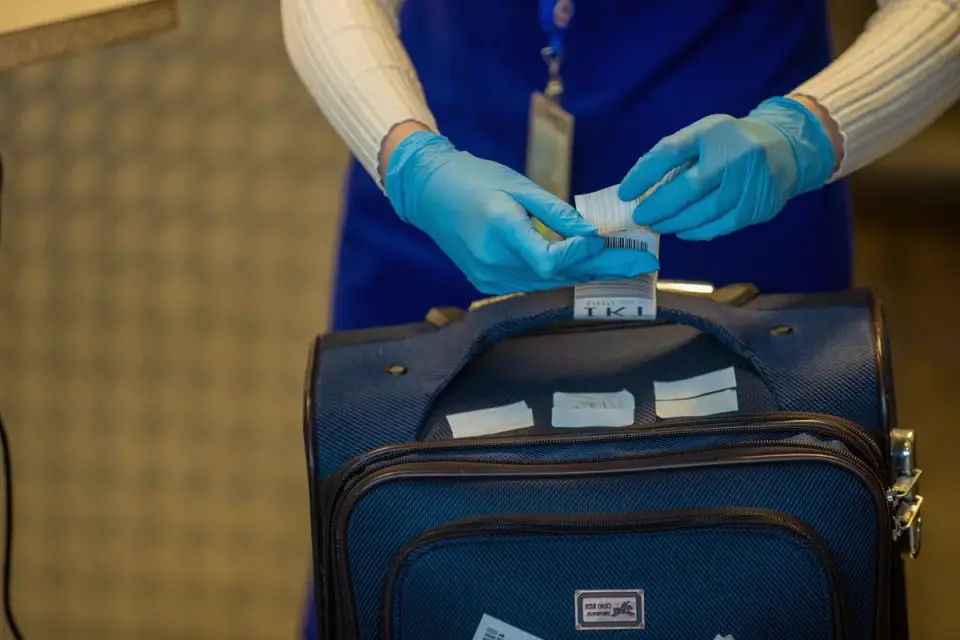 A veterinarian examining a dog with travel paperwork on the exam table