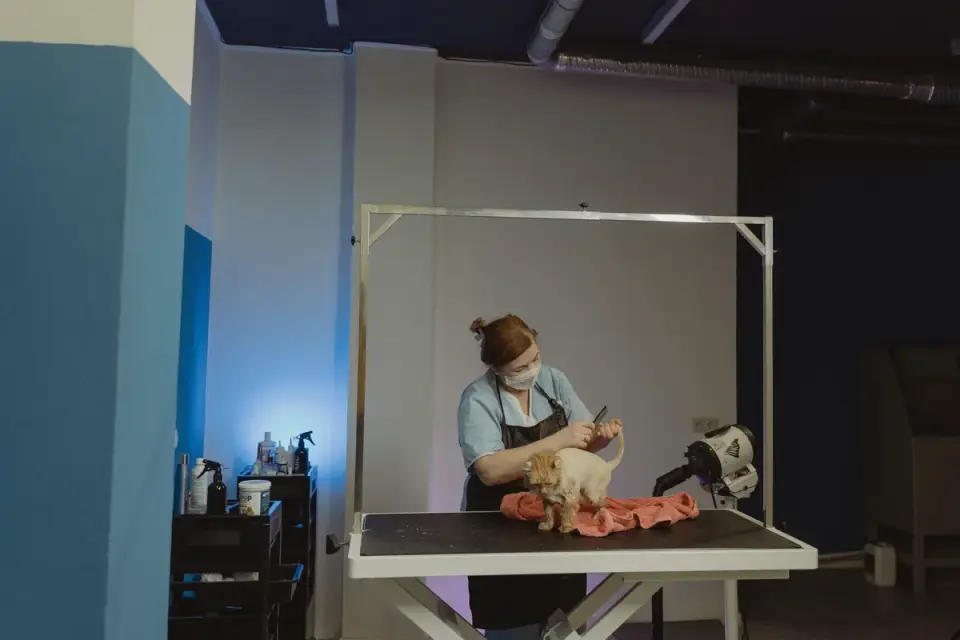 A veterinarian gently examining a young puppy during a wellness visit