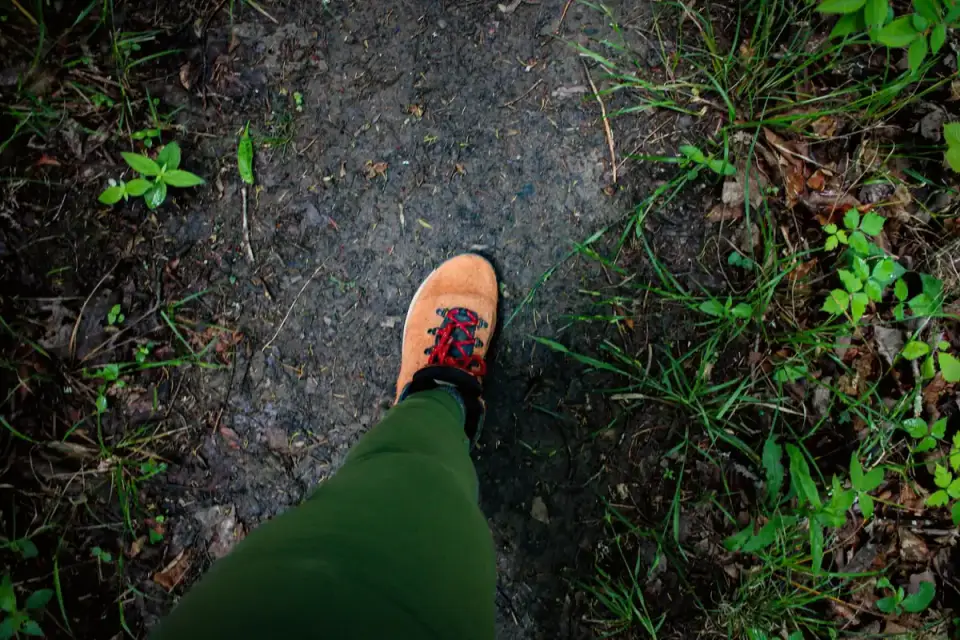 A young puppy sitting and resting beside a pair of hiking boots on a trail