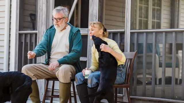 An owner giving a senior dog a chewable tablet at home