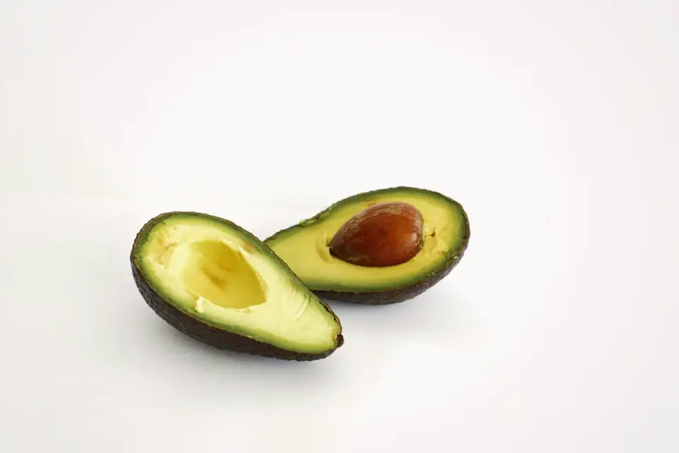 Avocado pit resting on a kitchen floor near a dog's paws