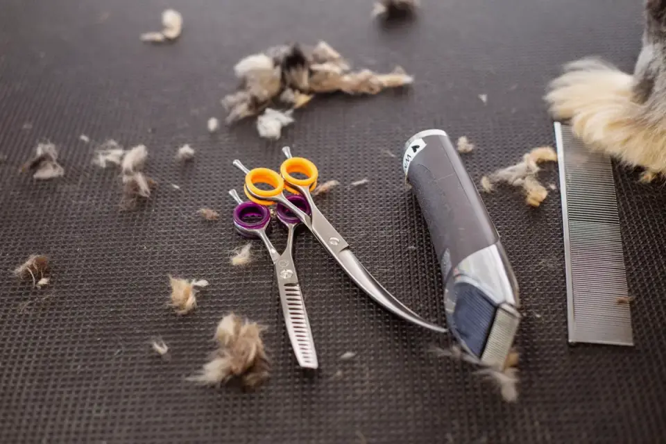 Close-up of a de-shedding comb pulling loose undercoat fur from a dog&#x27;s coat