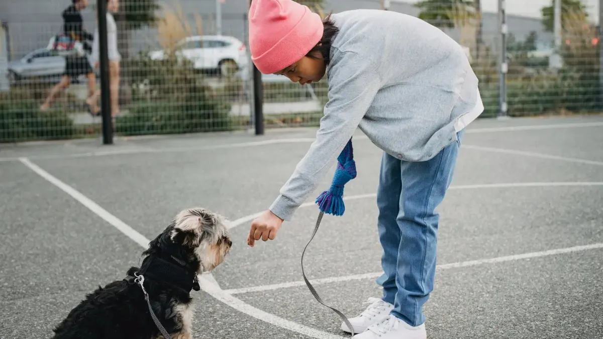 Dog and owner together