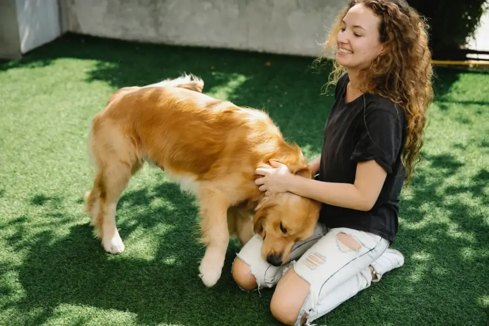 Dog and owner together
