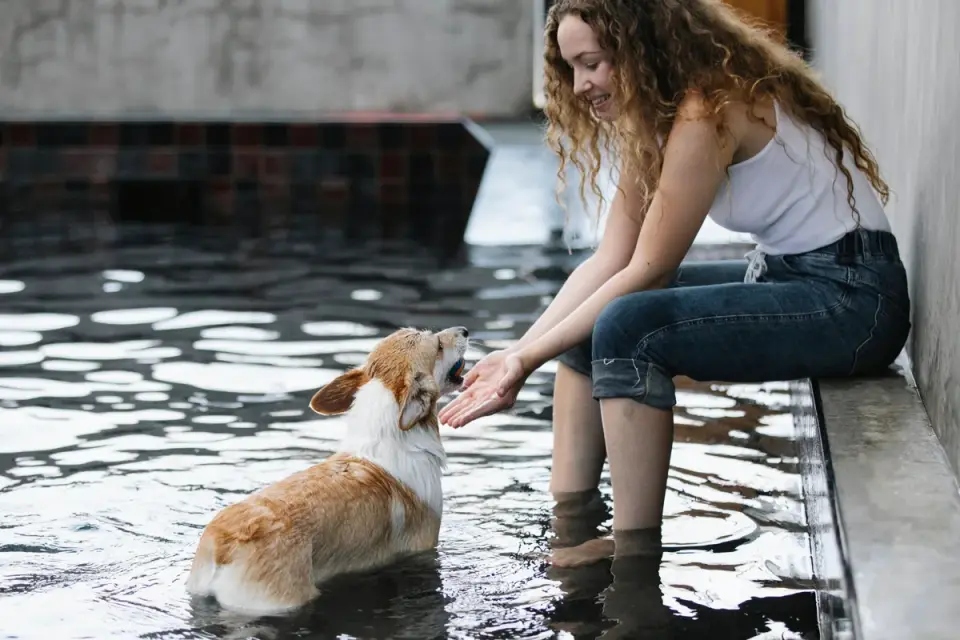 Dog and owner together