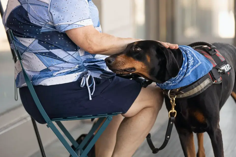 Dog and owner together