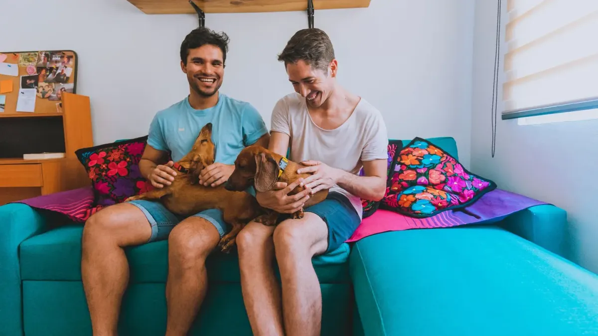 Dog bed at home