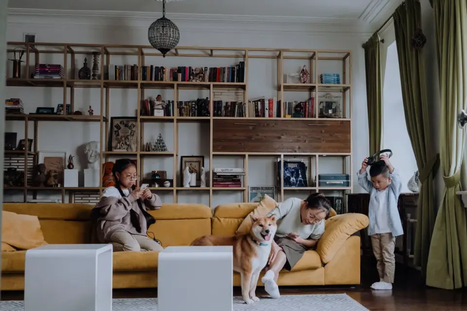 Dog bed at home