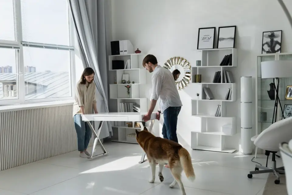 Dog bed at home