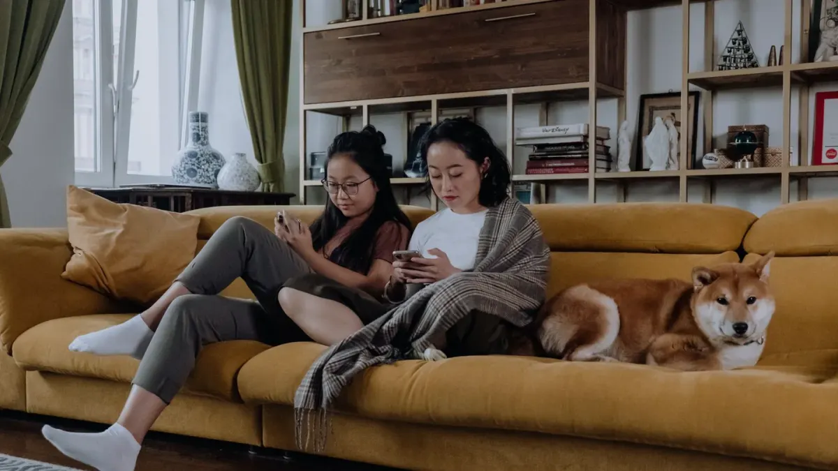 Dog bed at home