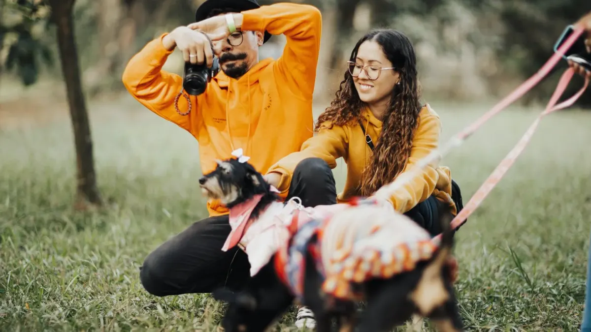 Dog camping with an owner