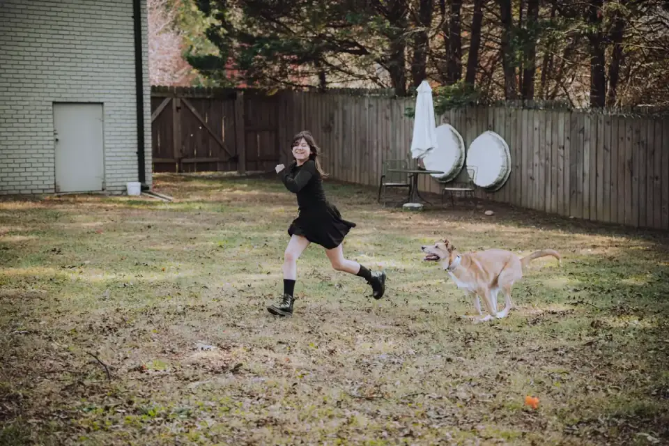 Dog chasing a ball