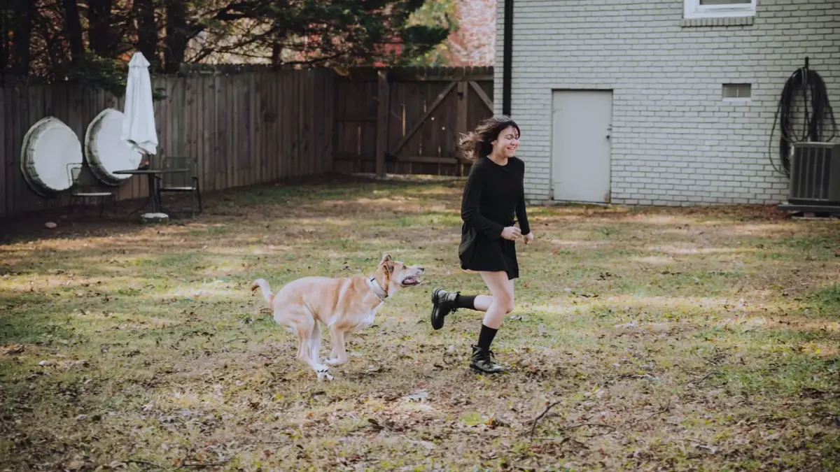 Dog chasing a ball