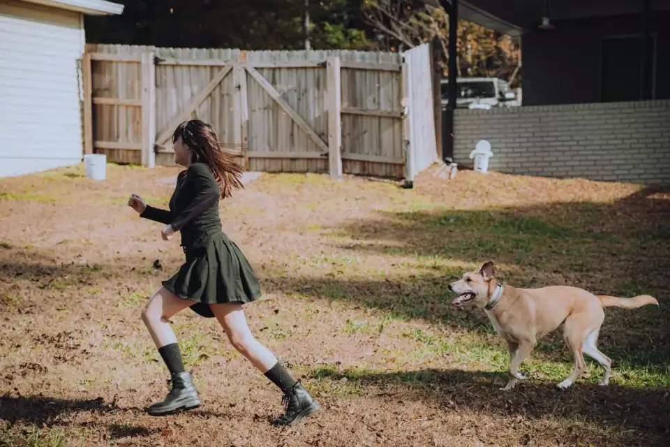 Dog chasing a ball