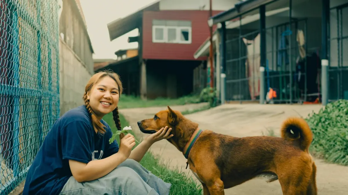 Dog giving a paw