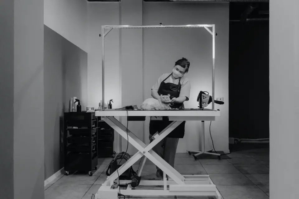 Dog having nails trimmed