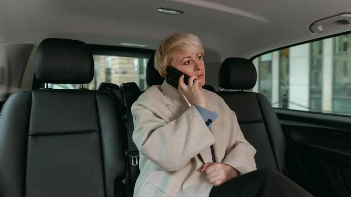 Dog in a car seat