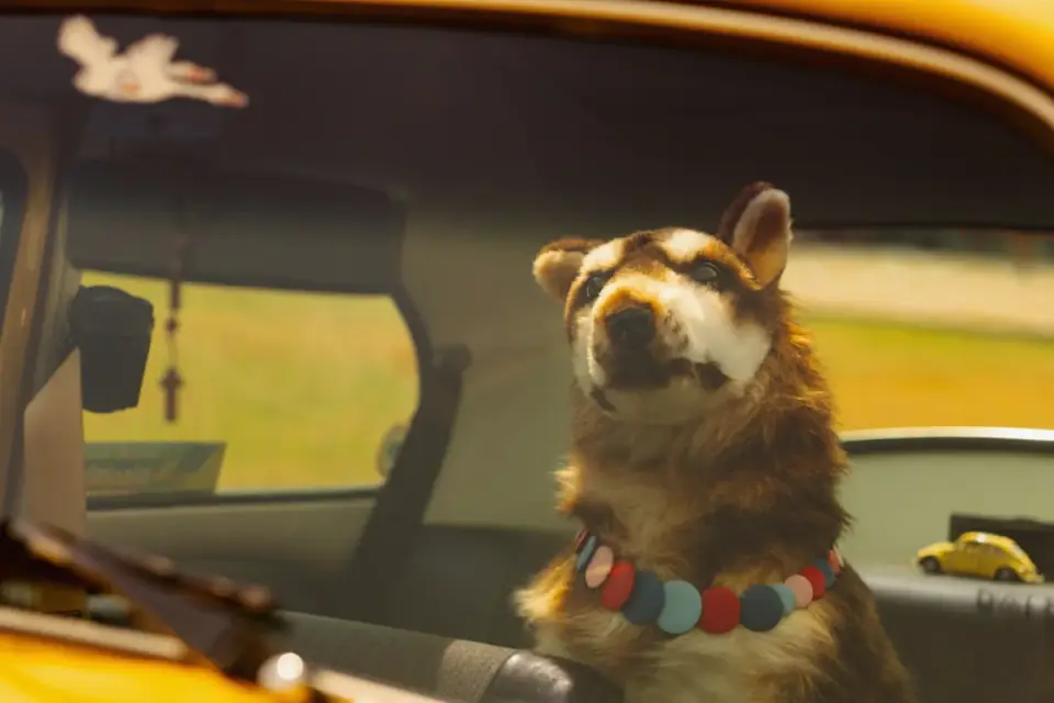 Dog in a car seat