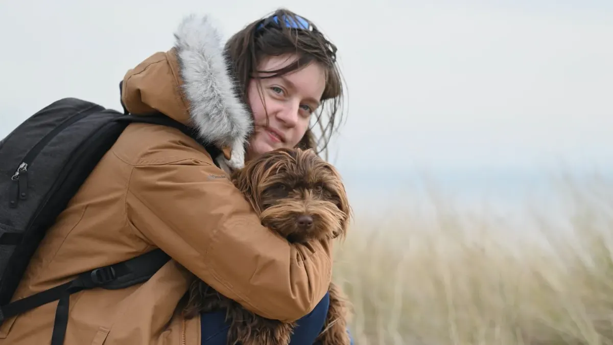 Dog in a carrier