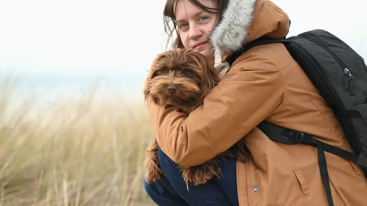 Dog in a carrier
