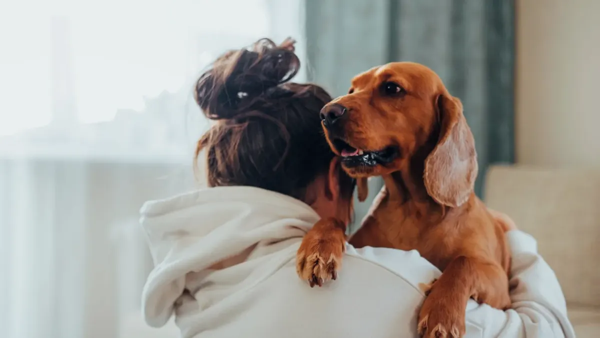Dog in a kitchen with an owner