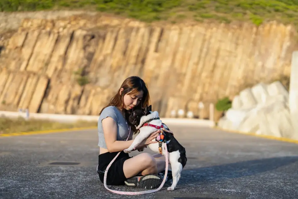 Dog leash outdoors