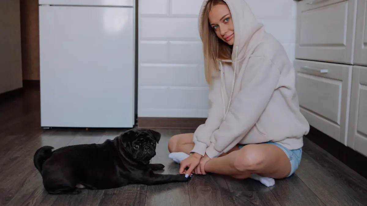 Dog owner preparing a meal