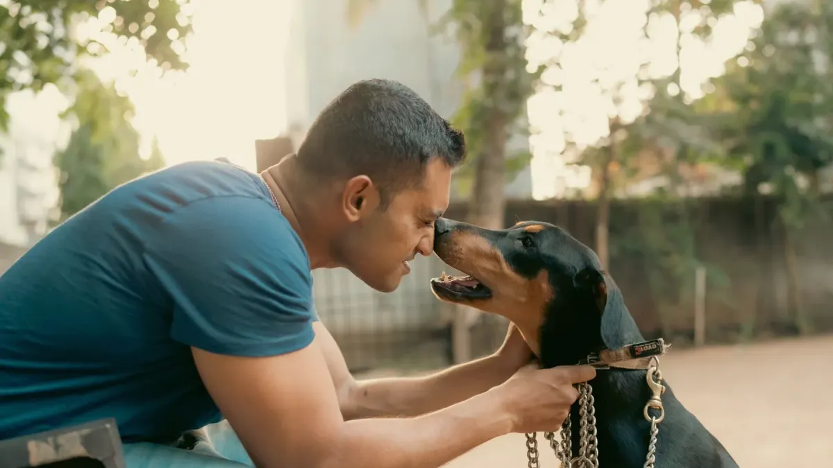Dog owner preparing a meal