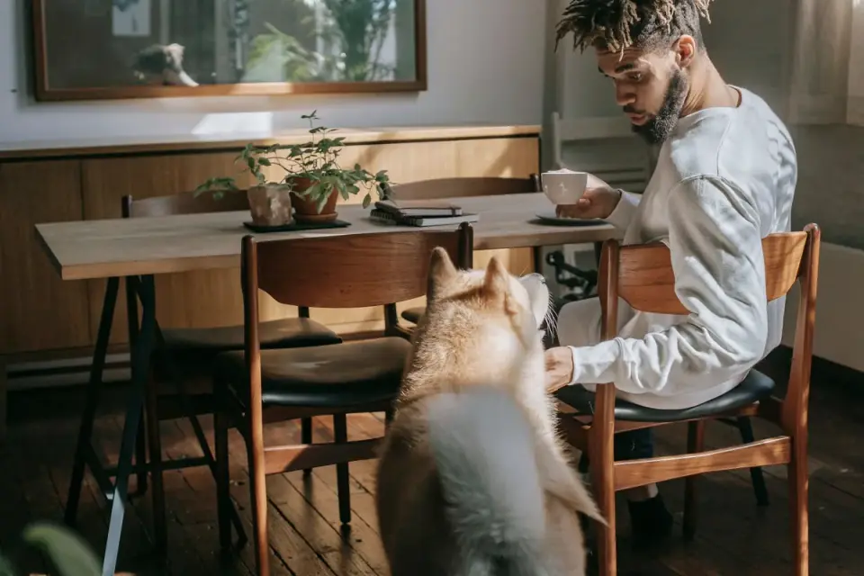 Dog owner preparing a meal