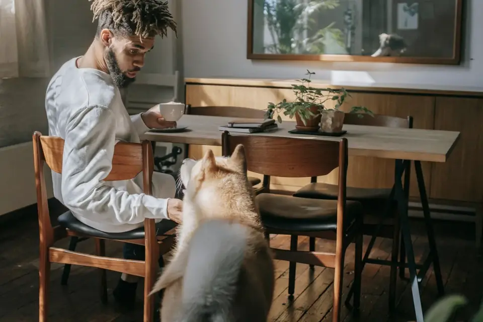 Dog owner preparing a meal