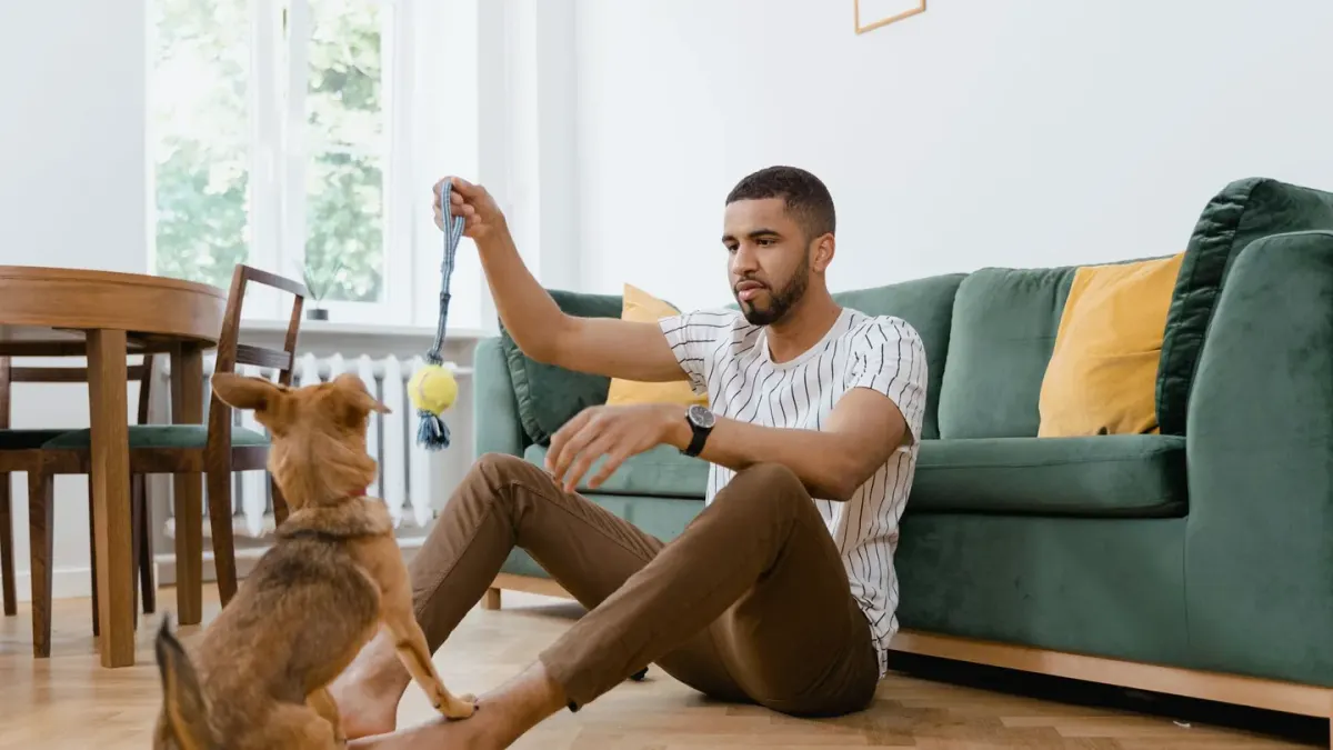 Dog resting beside an owner