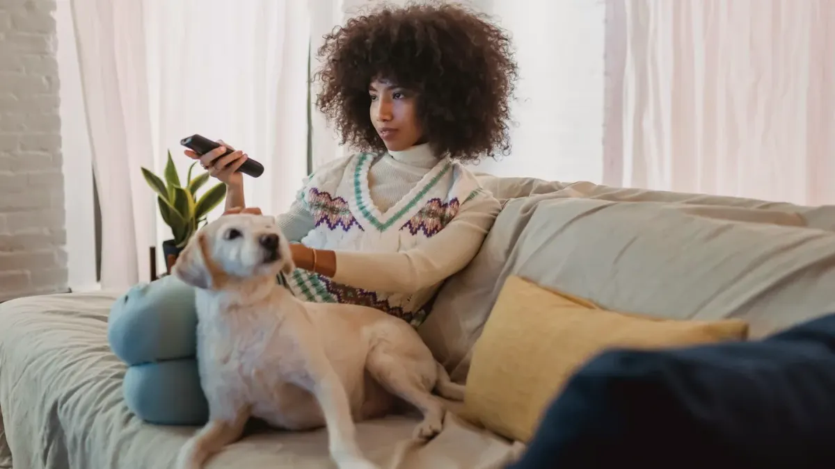 Dog resting beside an owner