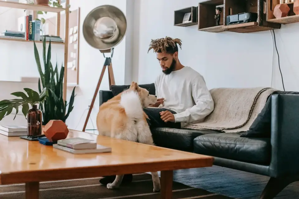 Dog resting beside an owner