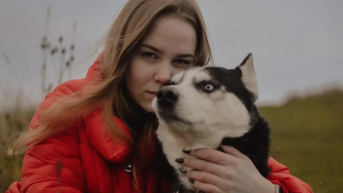 Dog traveling with an owner