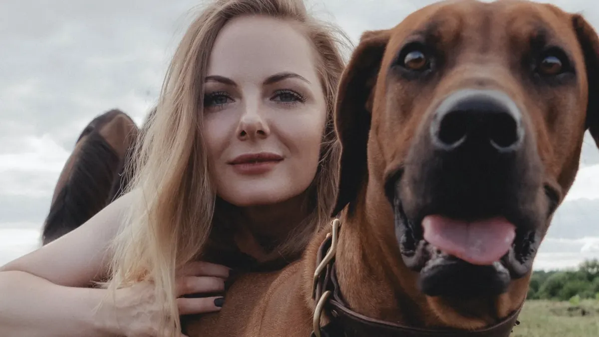 Dog traveling with an owner