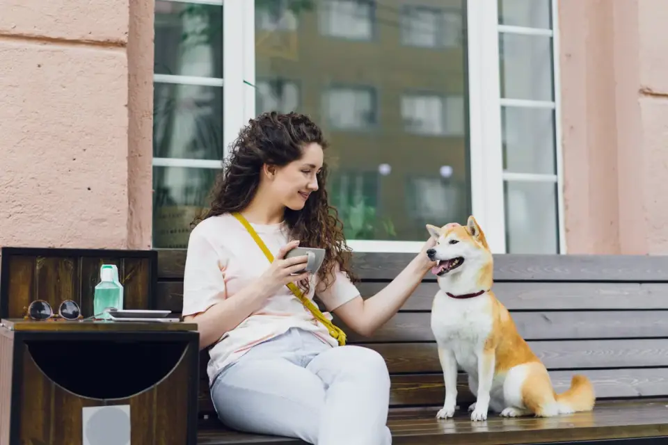 Dog traveling with an owner