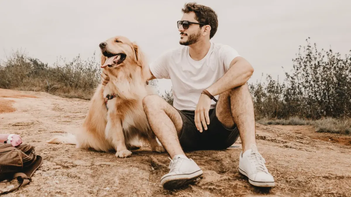 Dog traveling with an owner