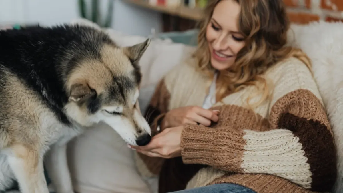 Dog with an owner at home