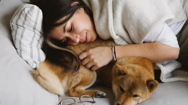 Dog with an owner at home