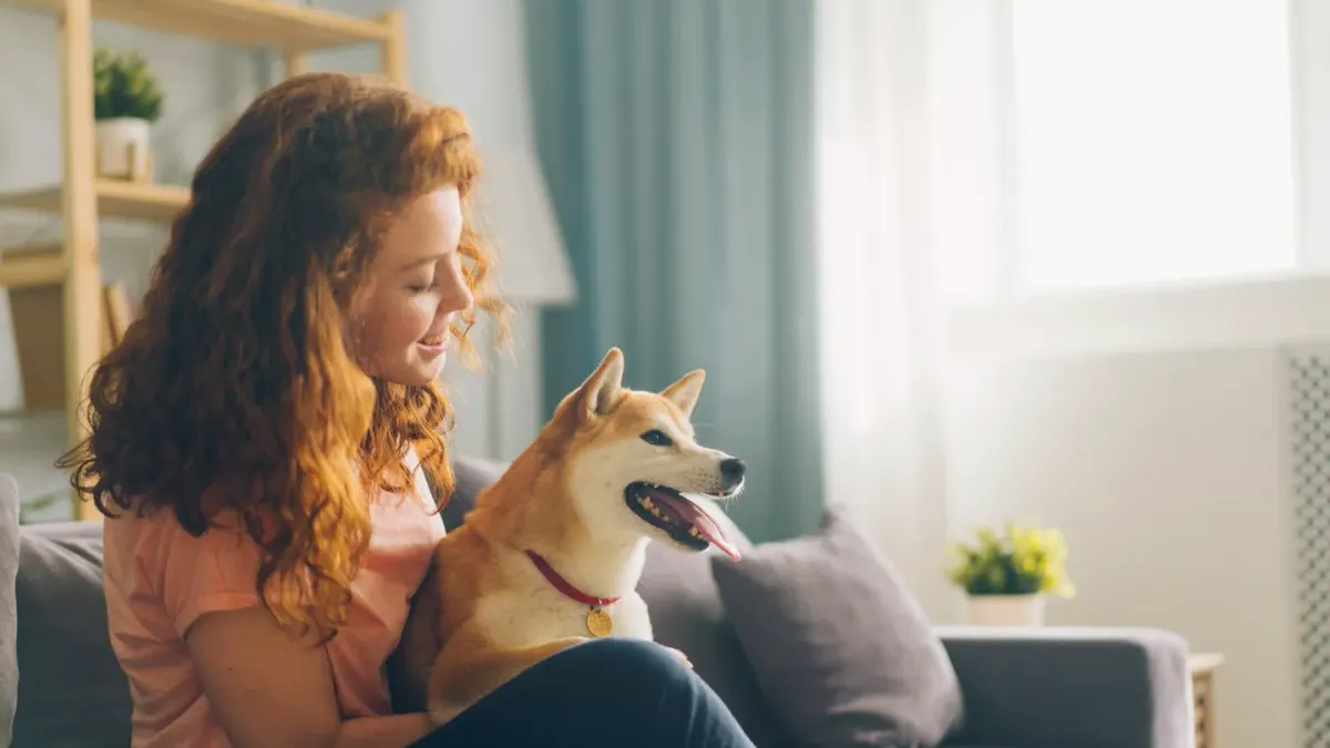 Dog with an owner