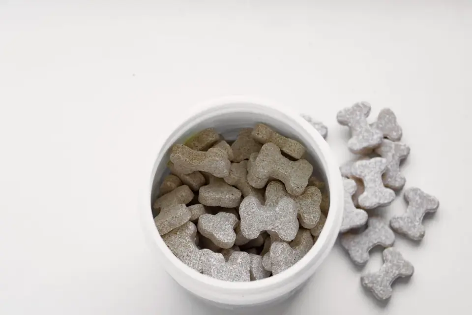 Joint supplement chews being measured into a scoop next to a dog bowl