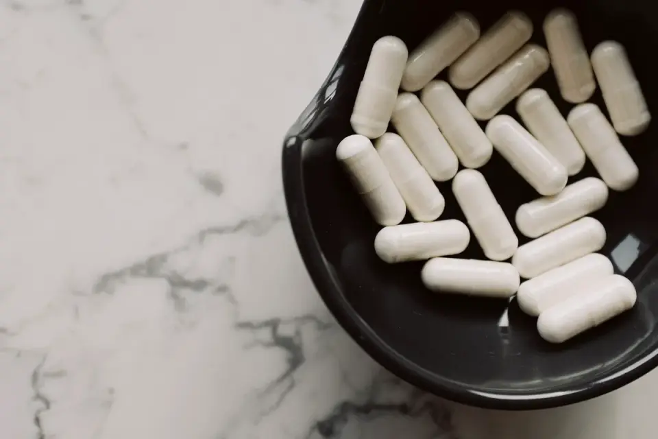 Joint supplement chews placed near a dog&#x27;s food bowl